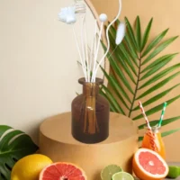 Diffuseur Borg marron "Ambiance cocktail tropical"