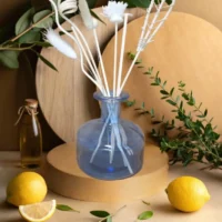 Diffuseur Bleu "Balsamique et pure"