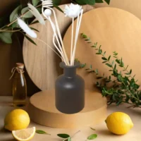 Diffuseur Borg noir "Balsamique et pure"