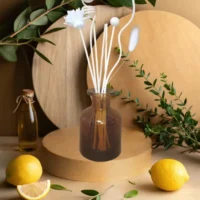 Diffuseur Borg marron "Balsamique et pure"