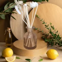 Diffuseur Borg Gris clair "Balsamique et pure"