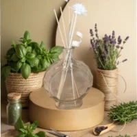 Diffuseur Horus "Herbacée et nature"