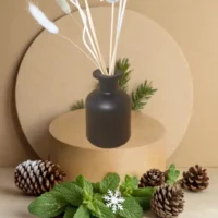 Diffuseur Borg noir "Hiver doux"