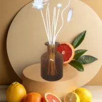 Diffuseur Borg marron "Matin d’agrumes"