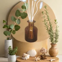 Diffuseur Borg marron "Rivage marin"