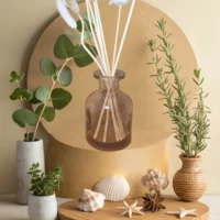 Diffuseur Borg Gris clair "Rivage marin"