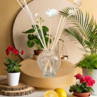 Diffuseur Nefertit "Équilibre et renouveau"