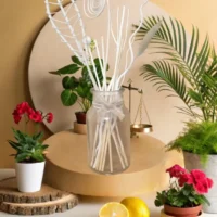 Diffuseur Valhalla "Équilibre et renouveau"