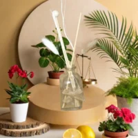 Diffuseur Saphir "Équilibre et renouveau"