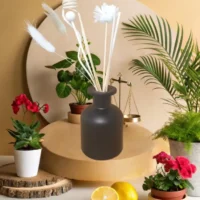 Diffuseur Borg noir "Équilibre et renouveau"