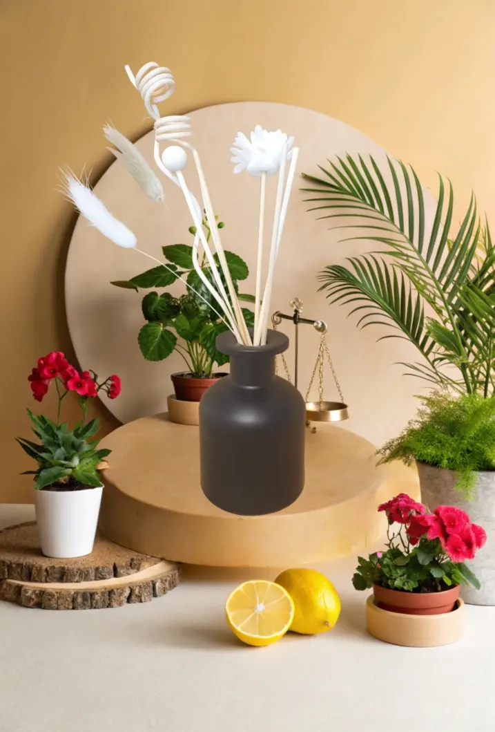 Diffuseur Borg noir "Équilibre et renouveau"