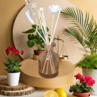 Diffuseur Borg Gris clair "Équilibre et renouveau"