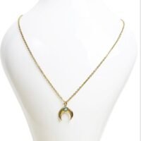 Collier inox ; Turquenite Howlite – Pendentif Lune Doré