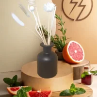 Diffuseur Borg noir "Énergisante"