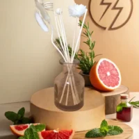 Diffuseur Borg Gris clair "Énergisante"